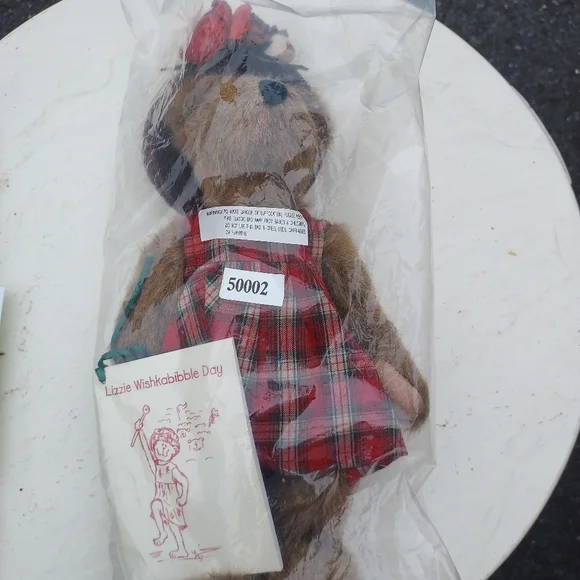 Boyds Bear Lizzie Wishkabibble Day NWT And Small Story Book- sealed original bag - Picture 3 of 5